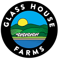 GLASS HOUSE TOWER SPLASH BANGER