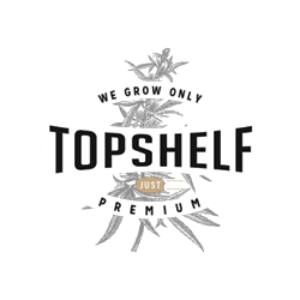 Bruce Banner #3 - Top Shelf