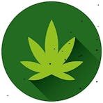 NuTeir Hemp Logo