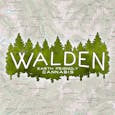 Special Diesel CBD by Walden
