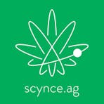 Scynce LED Logo