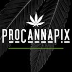 ProCannaPix - Creative Marketing Services Logo