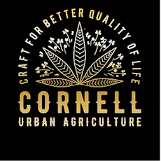 Space Ice Cream 50MG THC Cookies & Cream