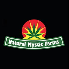 Blueberry Creme Brulee