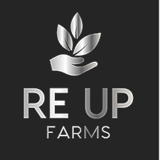 Re Up Farms - Runtz (IH) - 0.5g x 2 Pre Roll Pack