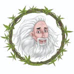 MR CANNABISrc / MCrc CANNABIS CATECHISM Handbook by Angi Perretti, Author / Publisher / Creator Logo