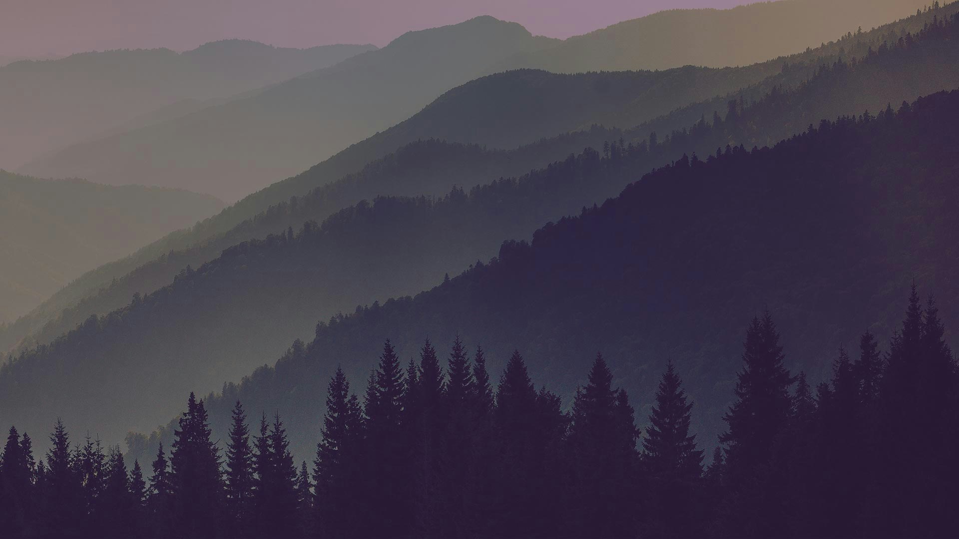 Whistler Cannabis Co. Cover Photo