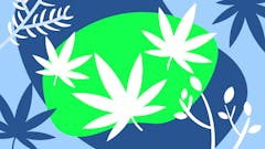 Concentrate! Get $5 off select Concentrates!!