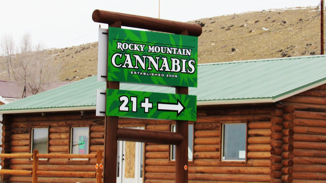 Rocky Mountain Cannabis - Dinosaur