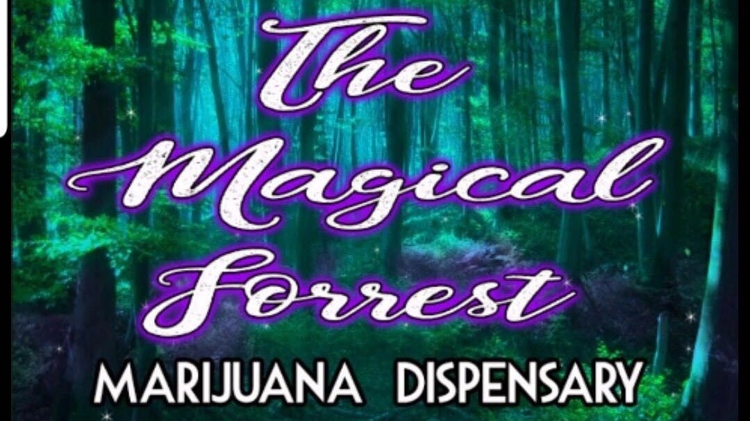 The Magical Forrest Marijuana Dispensary