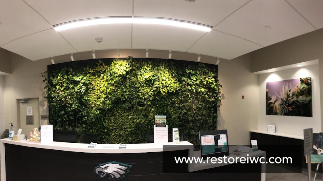 Restore Integrative Wellness Center - Fishtown