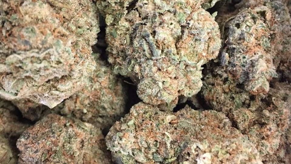 Oregon House of Herbs