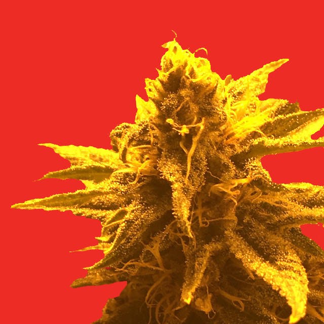 Superb Herb Company
