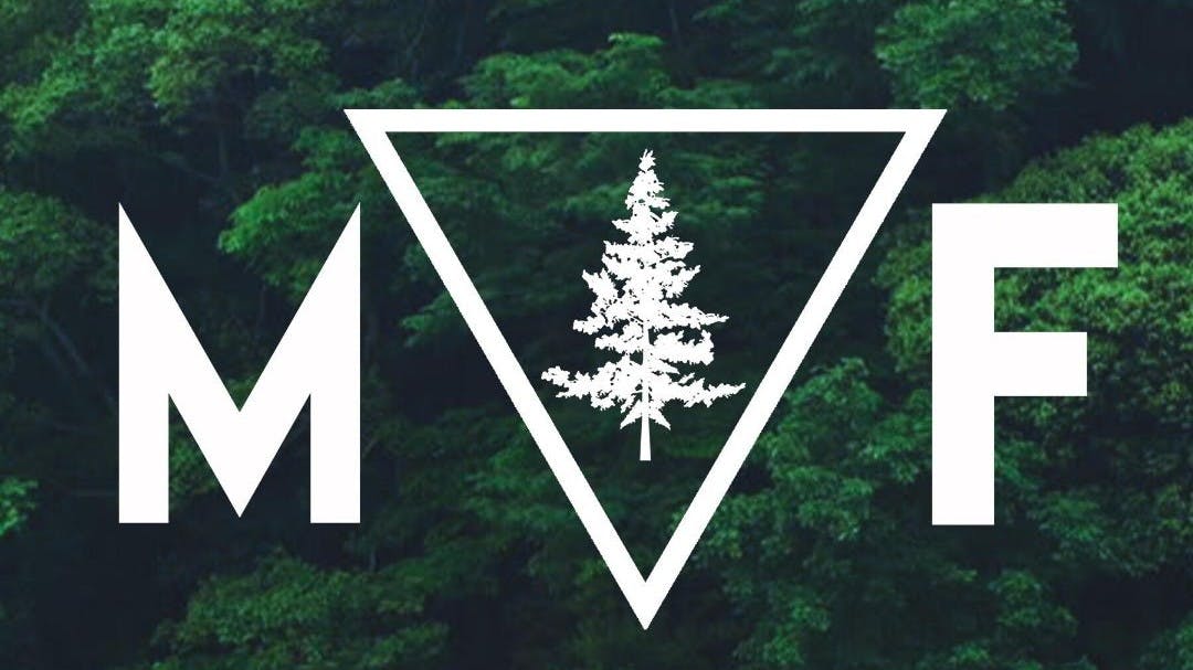 Modern Forest