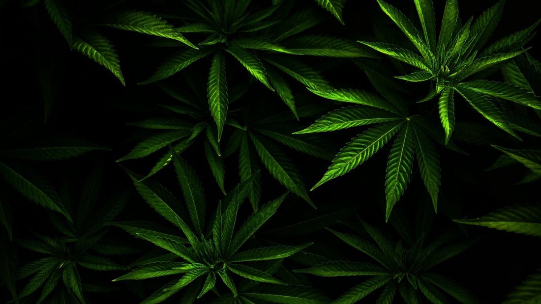 Margie's Pot Shop - Bingen, Hood River