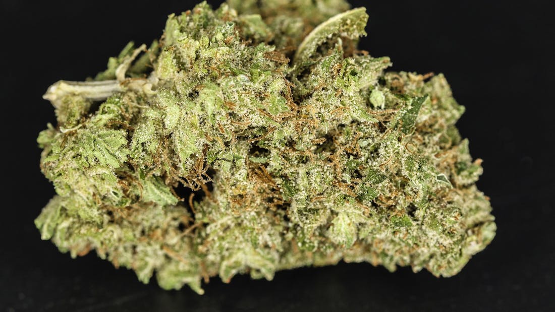 Euphoria Wellness - Missoula