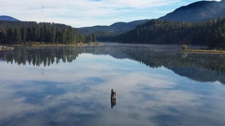 Pend Oreille Cannabis Co.