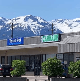 K.J.'s BEST CANNABIS