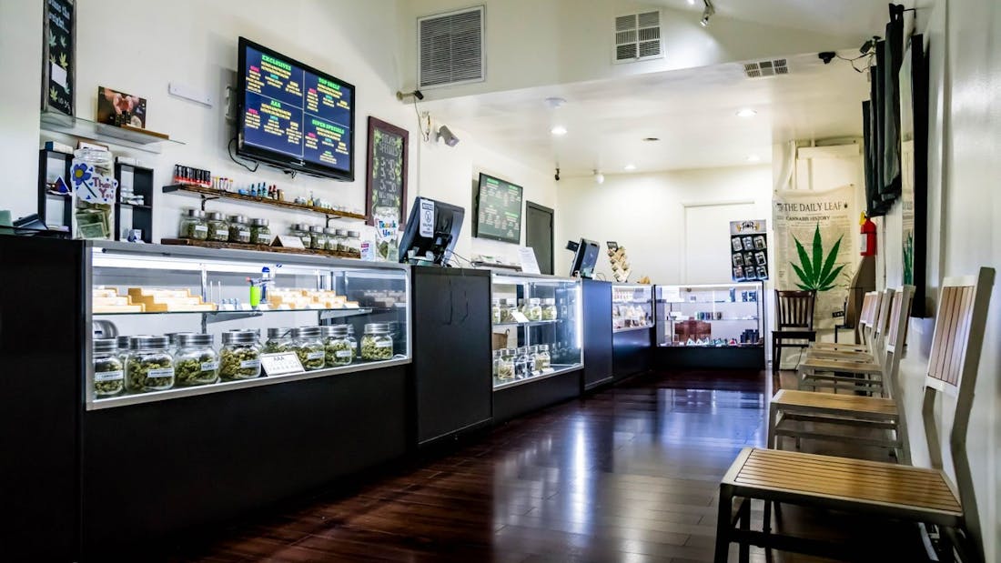 Mary Jane's Collective