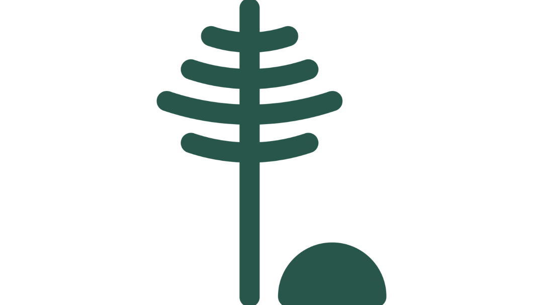 Stick and Stone Cannabis Co