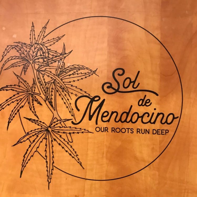 Sol De Mendocino / Love In It