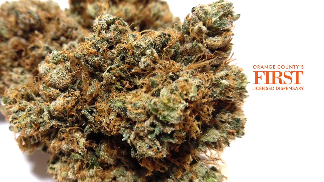 OC3-Orange County Cannabis Club (Santa Ana)