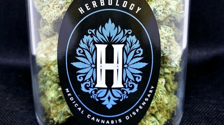 Herbology - Westminster