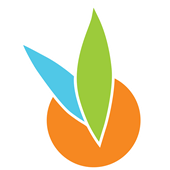 Sunrise Wellness Foundation - Kingsway
