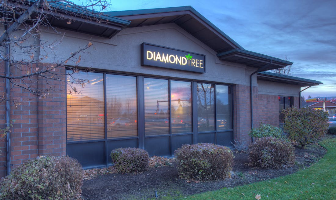 DiamondTREE - Eastside Bend