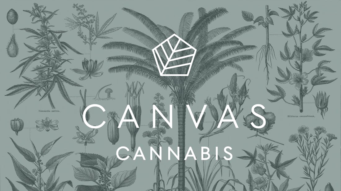 Canvas Cannabis Danforth Menu Leafly