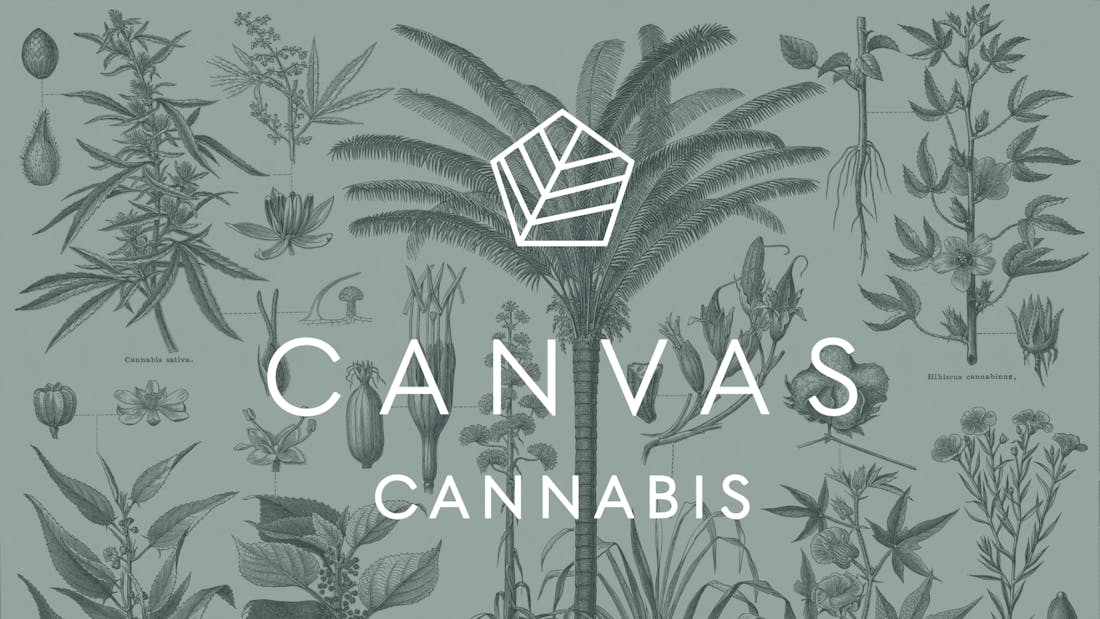 Canvas Cannabis - Danforth