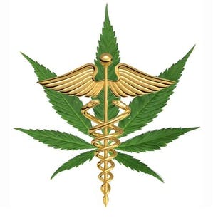 Toucannabis Wellness Company