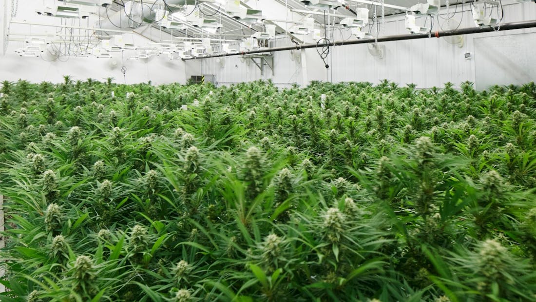 The Bake Shop Yakima Union Gap Menu Leafly