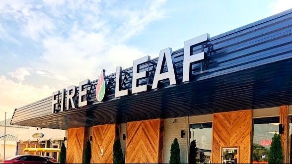 Fire Leaf - Edmond
