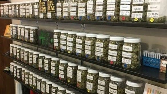 The House of Dank - Reedsport