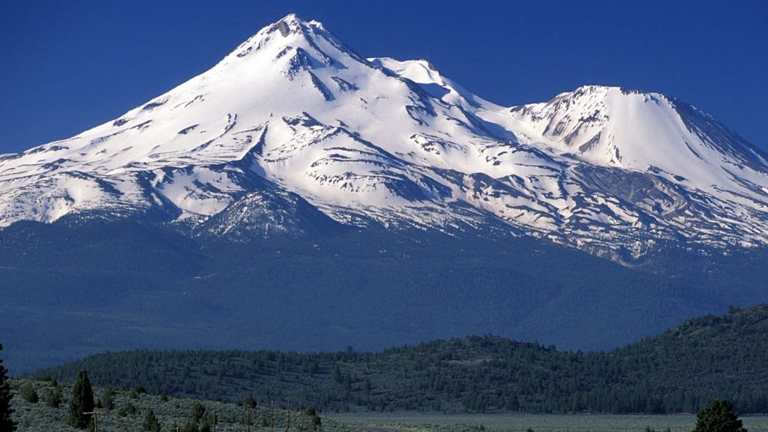 Mount Shasta Patients Collective