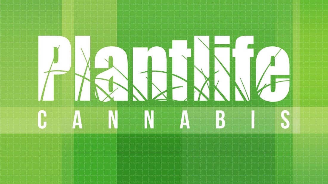 Plantlife Cannabis - Spruce Grove