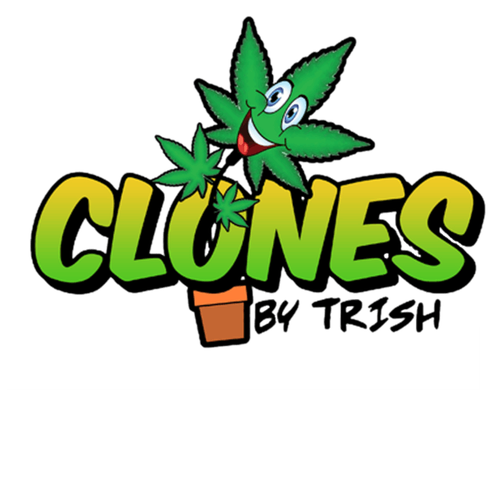Clones by Trish