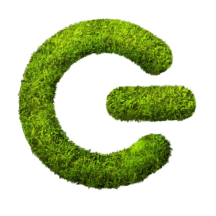 Grassp Delivery