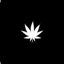 The New Amsterdam