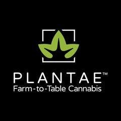 Plantae Bend