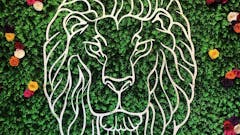 Friday - 10% off Concentrates, Carts and FECO