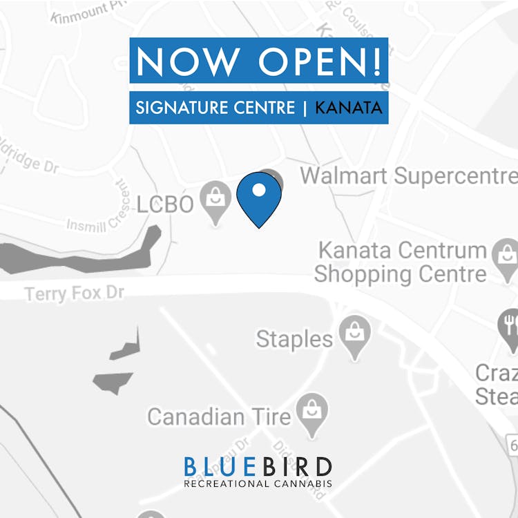 BlueBird Cannabis