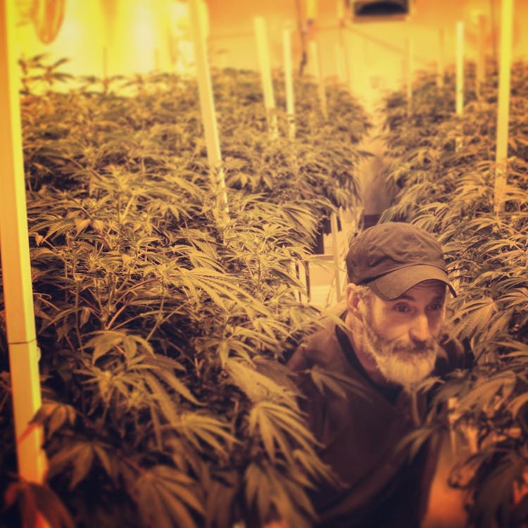 Above All Greenery