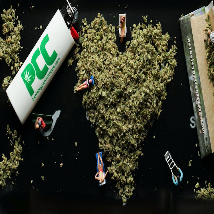 Patient's Care Collective - Berkeley