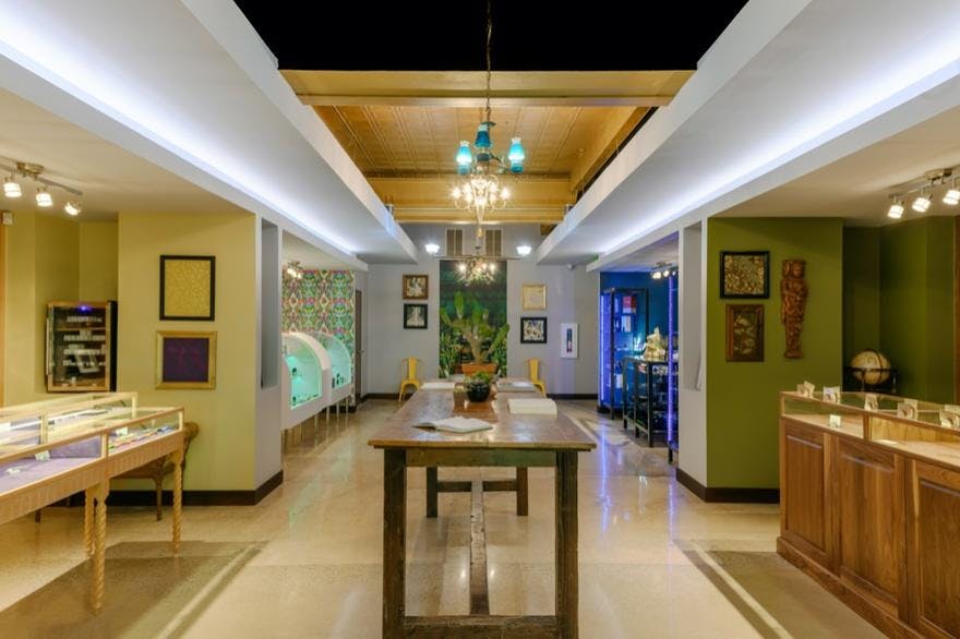 The Flower Shop Dispensary