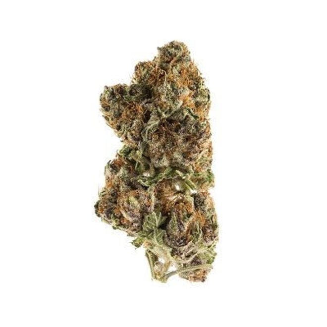 Highwire Farms