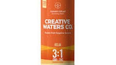 (20691) SSW 9mg 3:1 Tangerine Coconut $5.00