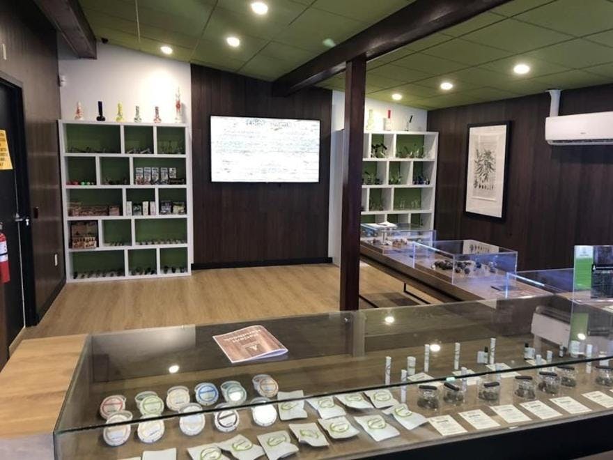 Sanctuary - Gardner Medical