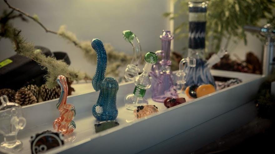 The Green Lady Dispensary - NOW OPEN!